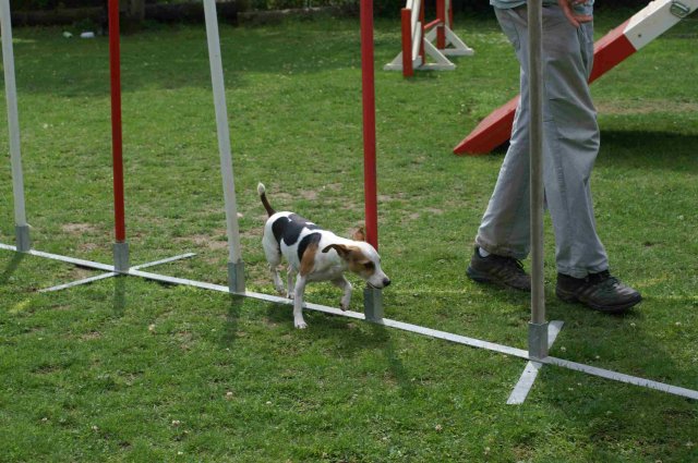 agility 2011-07-24